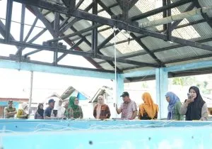 Wagub Sultra Hugua Dorong Optimalisasi Aset Kelautan, Target PAD Naik Hingga Rp500 Juta