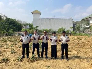 Dukung Ketahanan Pangan: Dari Kebun Rutan Raha, WBP Belajar Bertani dan Menanam Harapan Menuju Kemandirian